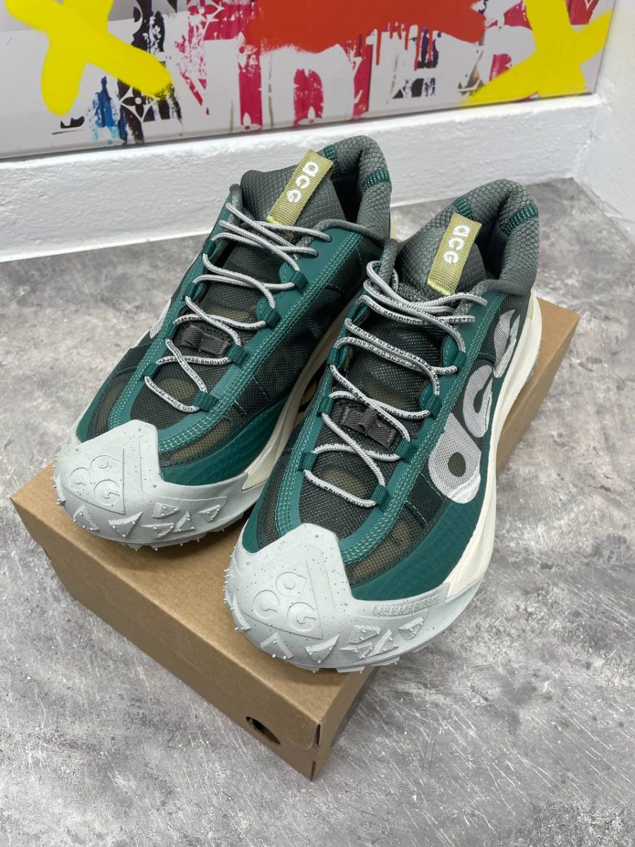 Кроссовки Nike ACG Mountain Fly Low 2 Bicoastal