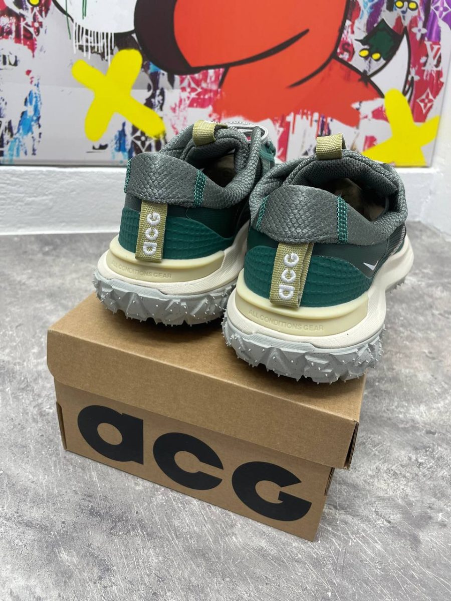 Кроссовки Nike ACG Mountain Fly Low 2 Bicoastal