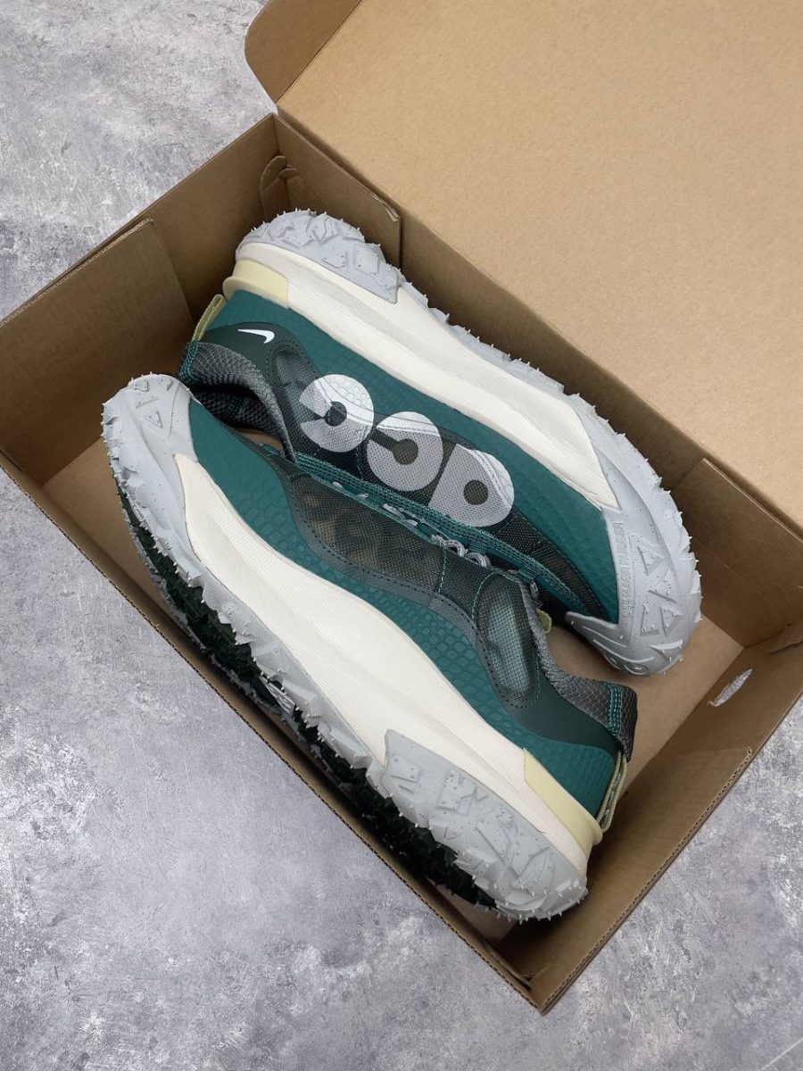 Кроссовки Nike ACG Mountain Fly Low 2 Bicoastal