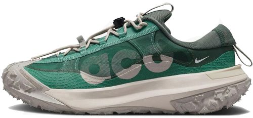 Кроссовки Nike ACG Mountain Fly Low 2 Bicoastal