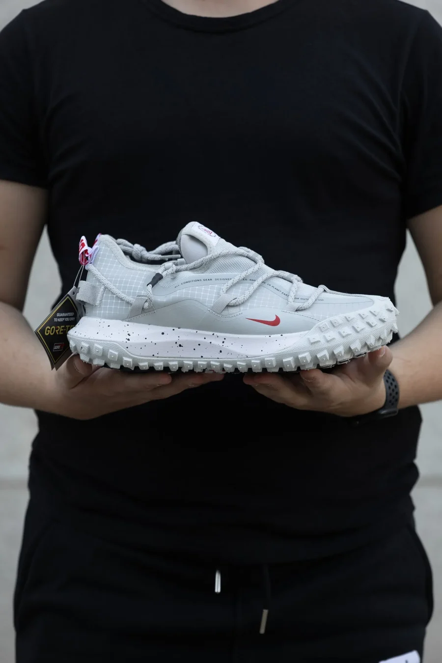 Кроссовки Nike ACG Mountain Fly Low GTX Team USA