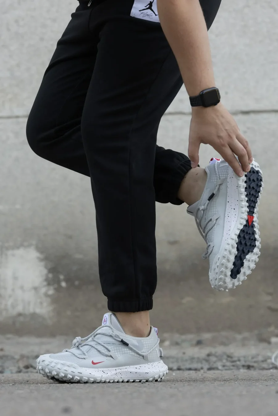 Кроссовки Nike ACG Mountain Fly Low GTX Team USA