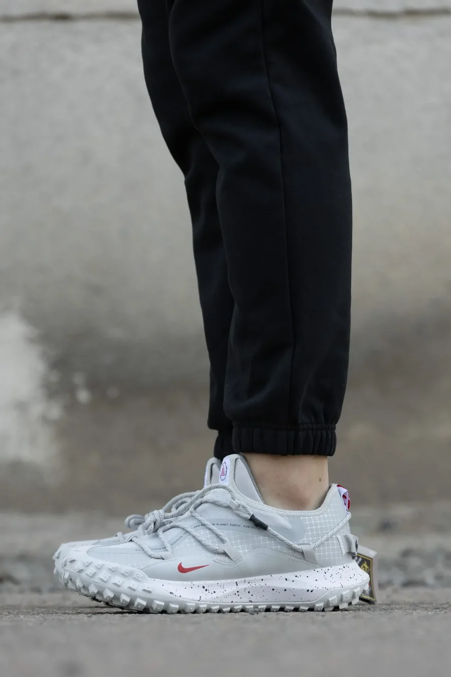 Кроссовки Nike ACG Mountain Fly Low GTX Team USA