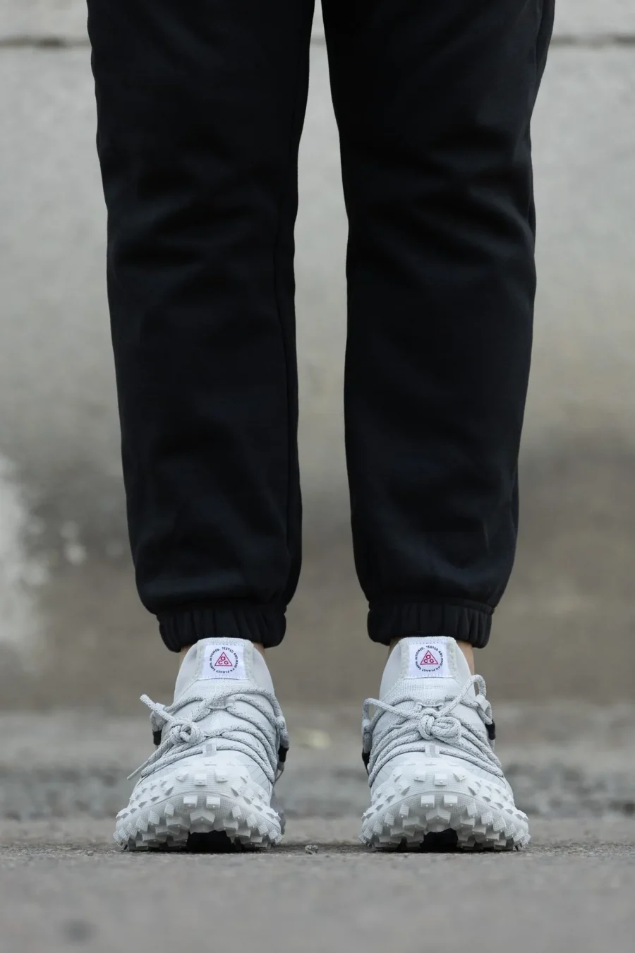 Кроссовки Nike ACG Mountain Fly Low GTX Team USA
