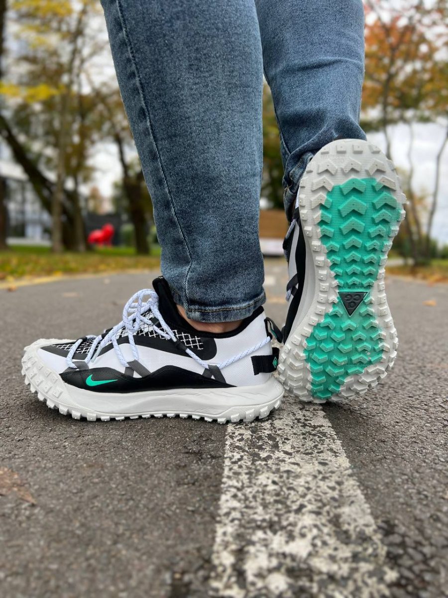Кроссовки Nike ACG Mountain Fly Low SE White Anthracite