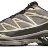 Кросівки Salomon XT-6 Gore-Tex Vintage Khaki