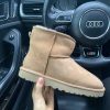 Ботинки UGG Classic Mini 2 Chestnut