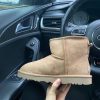 Ботинки UGG Classic Mini 2 Chestnut