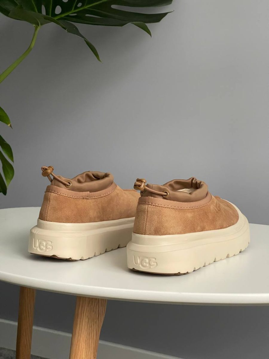 Ботинки UGG Tasman Weather Hybrid Chestnut Whitecap