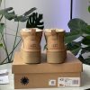 Ботинки UGG Ultra Mini Platform Chestnut
