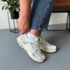 Кросівки Nike Air Zoom Vomero 5 Platinum Tint