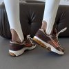 Кросівки Nike Air Zoom Vomero 5 Wheat Grass