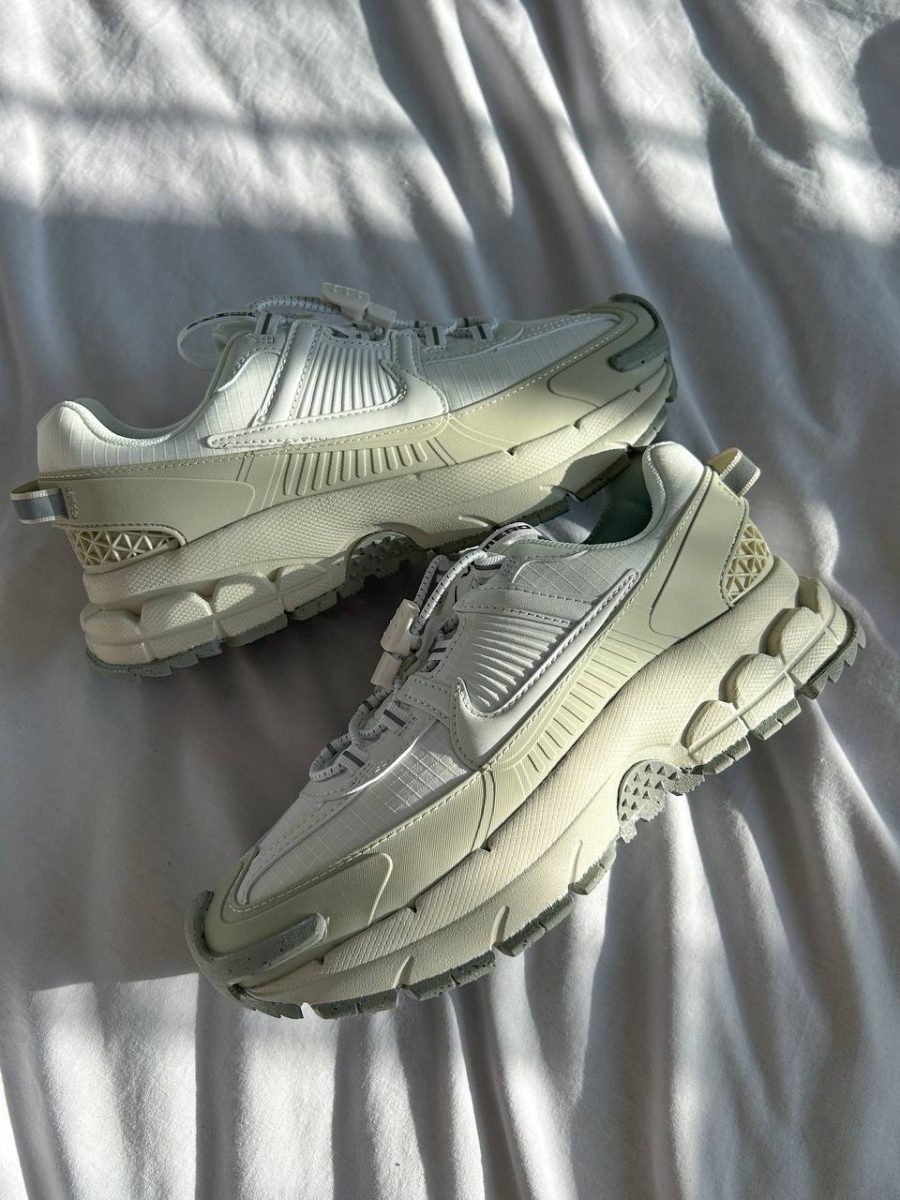 Кросівки Nike Air Zoom Vomero Roam Summit White