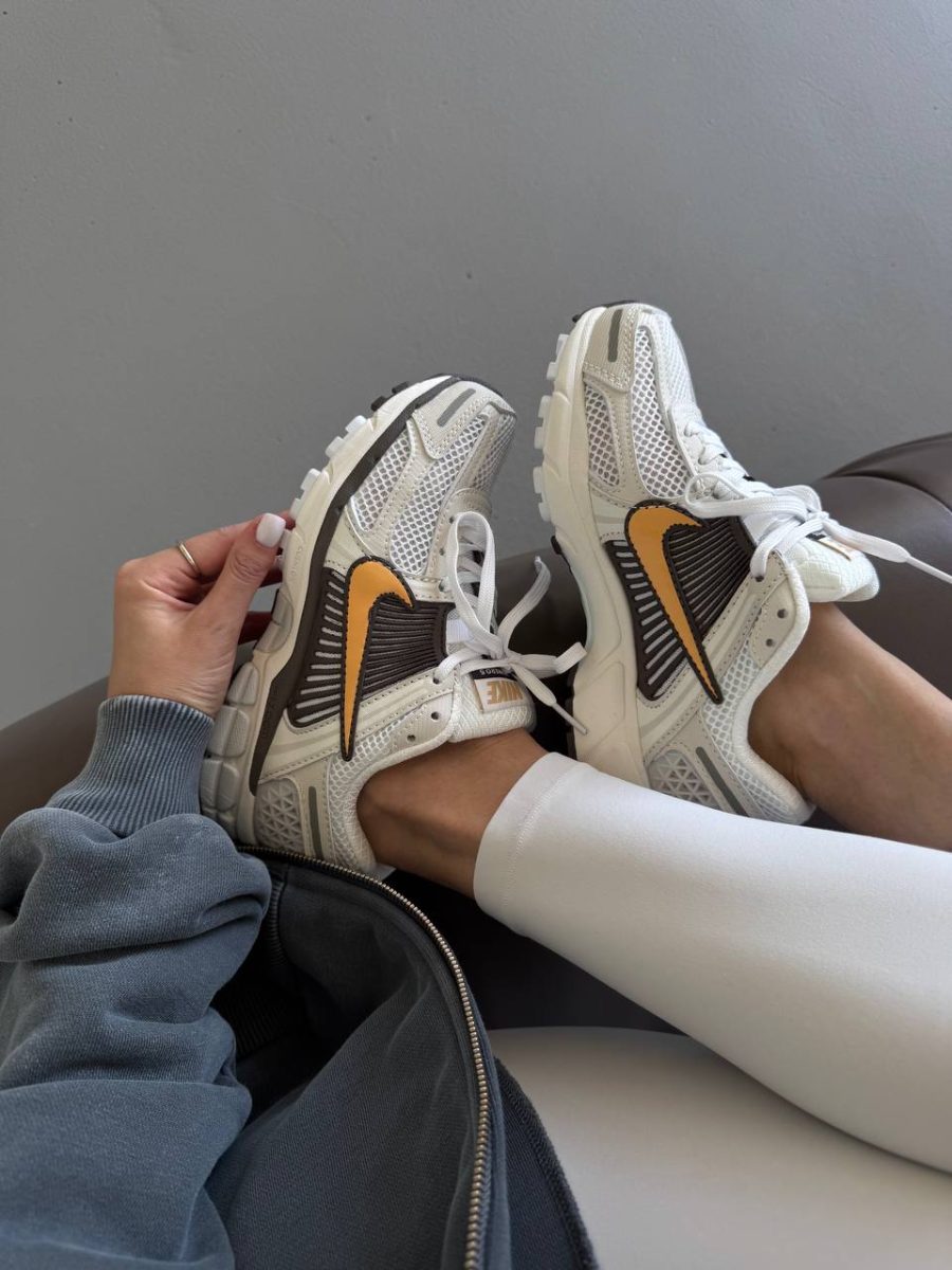 Кроссовки Nike Zoom Vomero 5 Light Bone Sesame