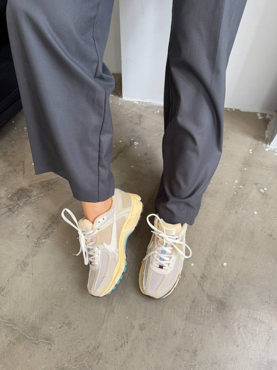 Кроссовки Nike Zoom Vomero 5 Oatmeal
