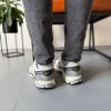 Кросівки Nike Zoom Vomero 5 Wolf Grey Cool Grey