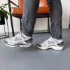 Кросівки Nike Zoom Vomero 5 Wolf Grey Cool Grey