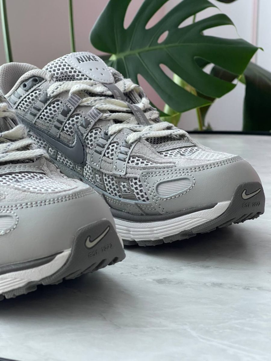 Кроссовки Nike P-6000 Light Iron Ore