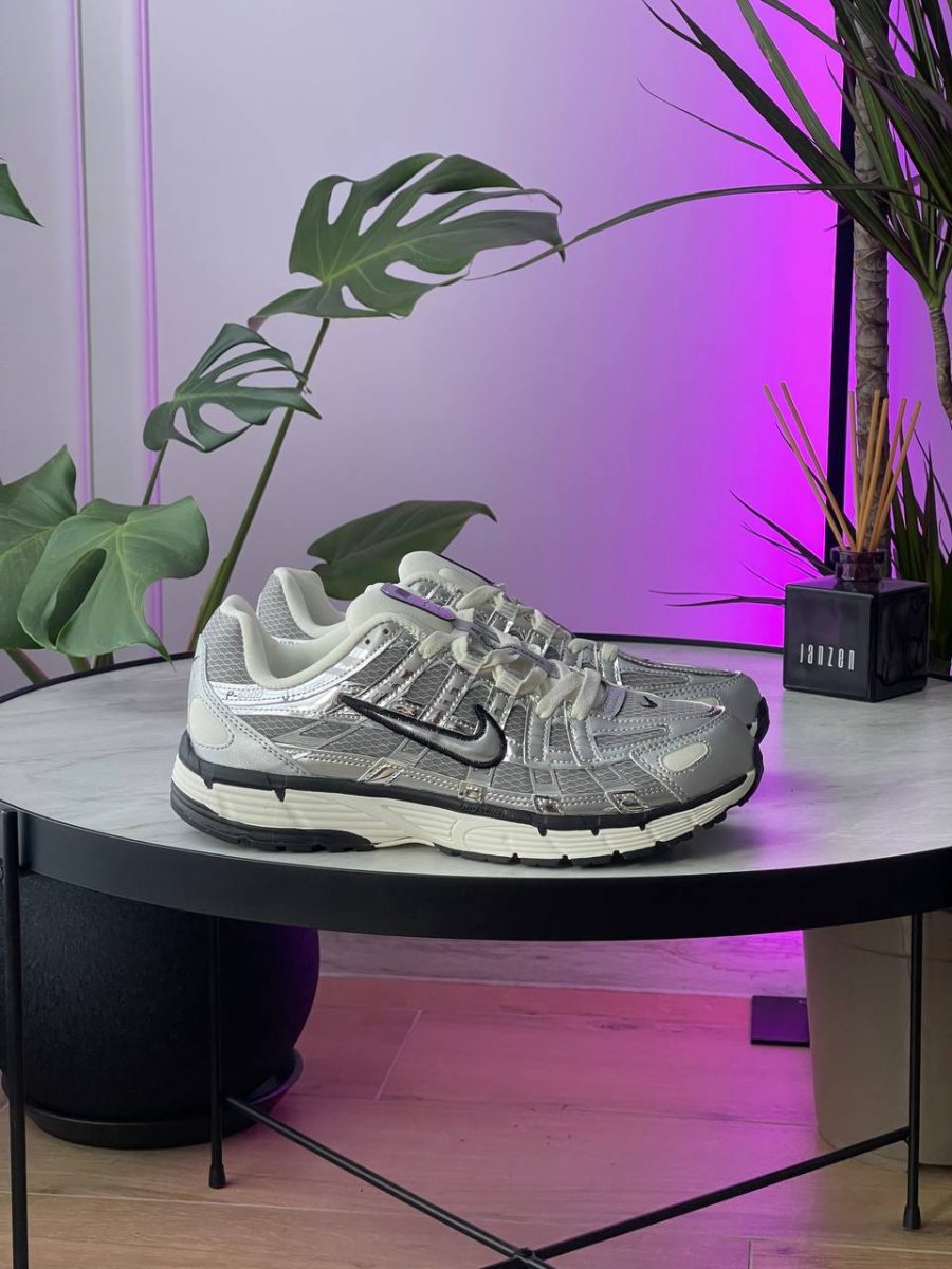 Кроссовки Nike P-6000 Metallic Silver