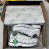 Кроссовки Nike P-6000 Metallic Summit White
